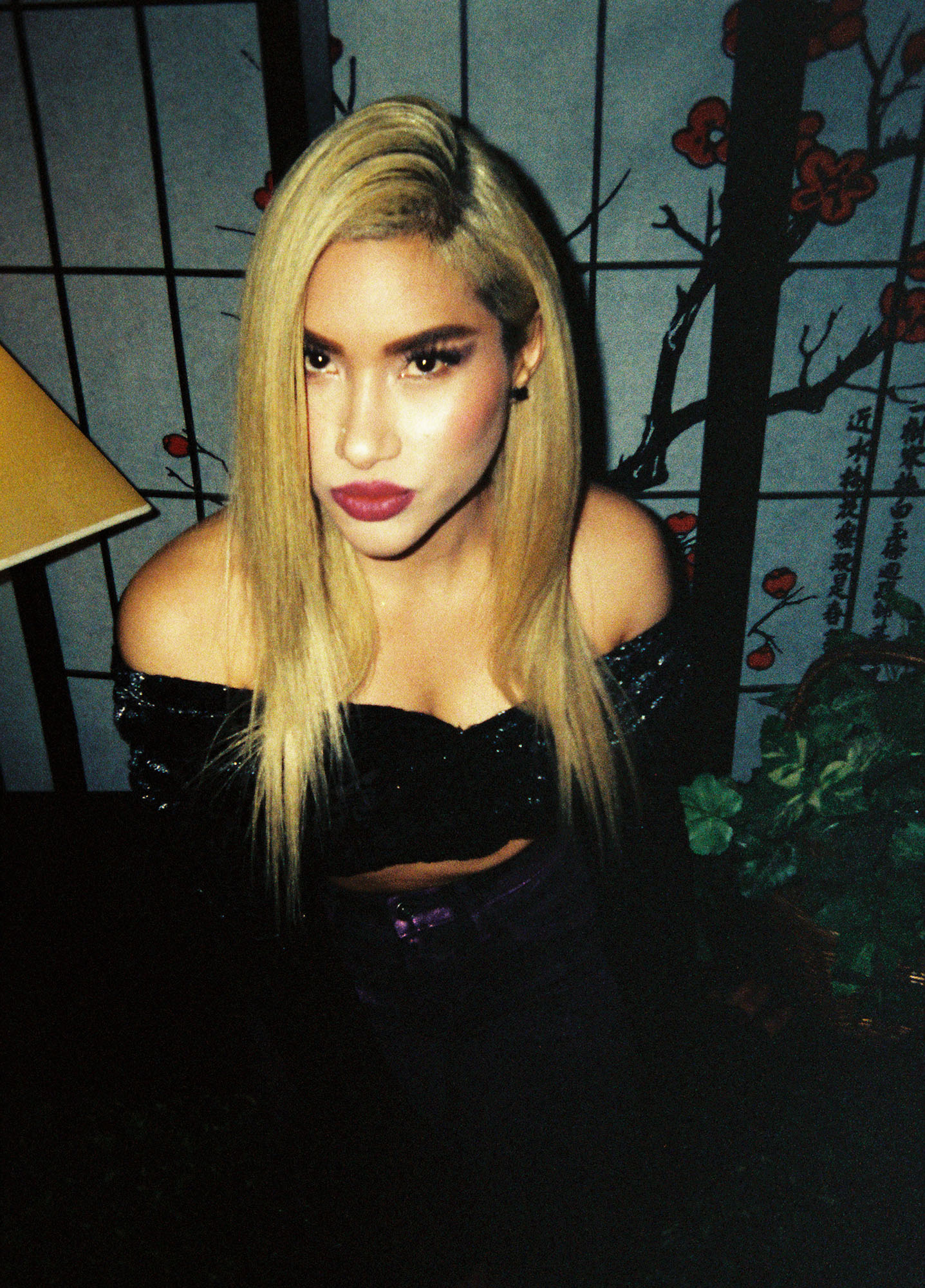 Sky Model Session 2025